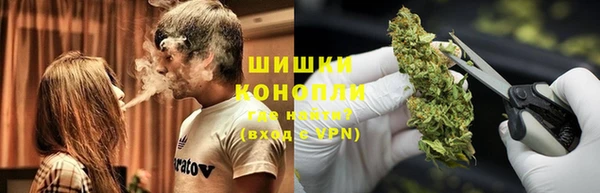 дурь Лиски
