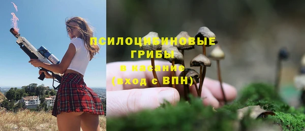 дурь Лиски
