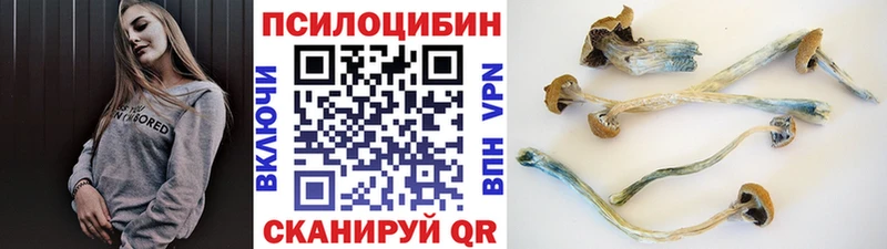 как найти закладки  Советский  Псилоцибиновые грибы прущие грибы 